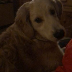 Meet your Posher, Meagan